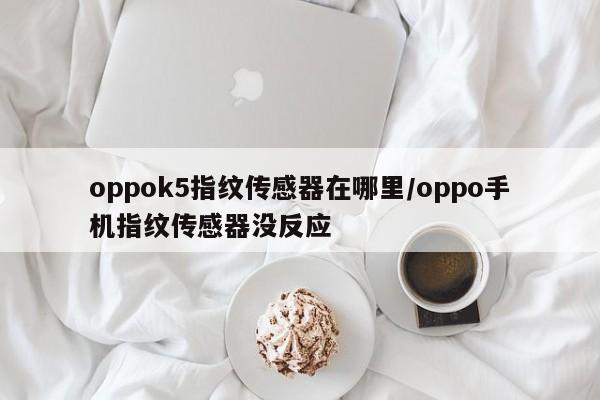 oppok5指纹传感器在哪里/oppo手机指纹传感器没反应