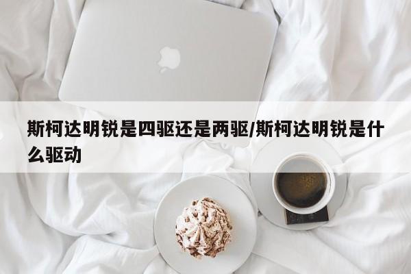 斯柯达明锐是四驱还是两驱/斯柯达明锐是什么驱动