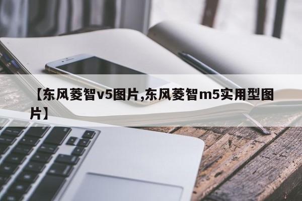 【东风菱智v5图片,东风菱智m5实用型图片】